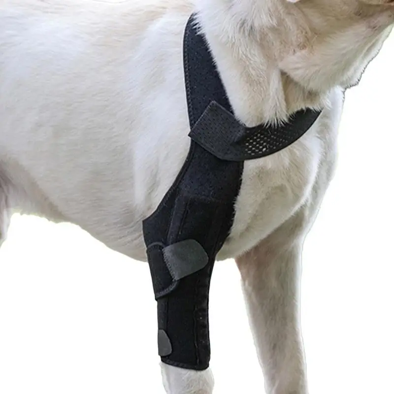 הכלב היפ סד תמיכה הכלב הרגל סד אלסטיות גבוהה היפ תמיכה לנשימה רגל של כלב מגן עם רצועת מתכת עבור כלב קטן
