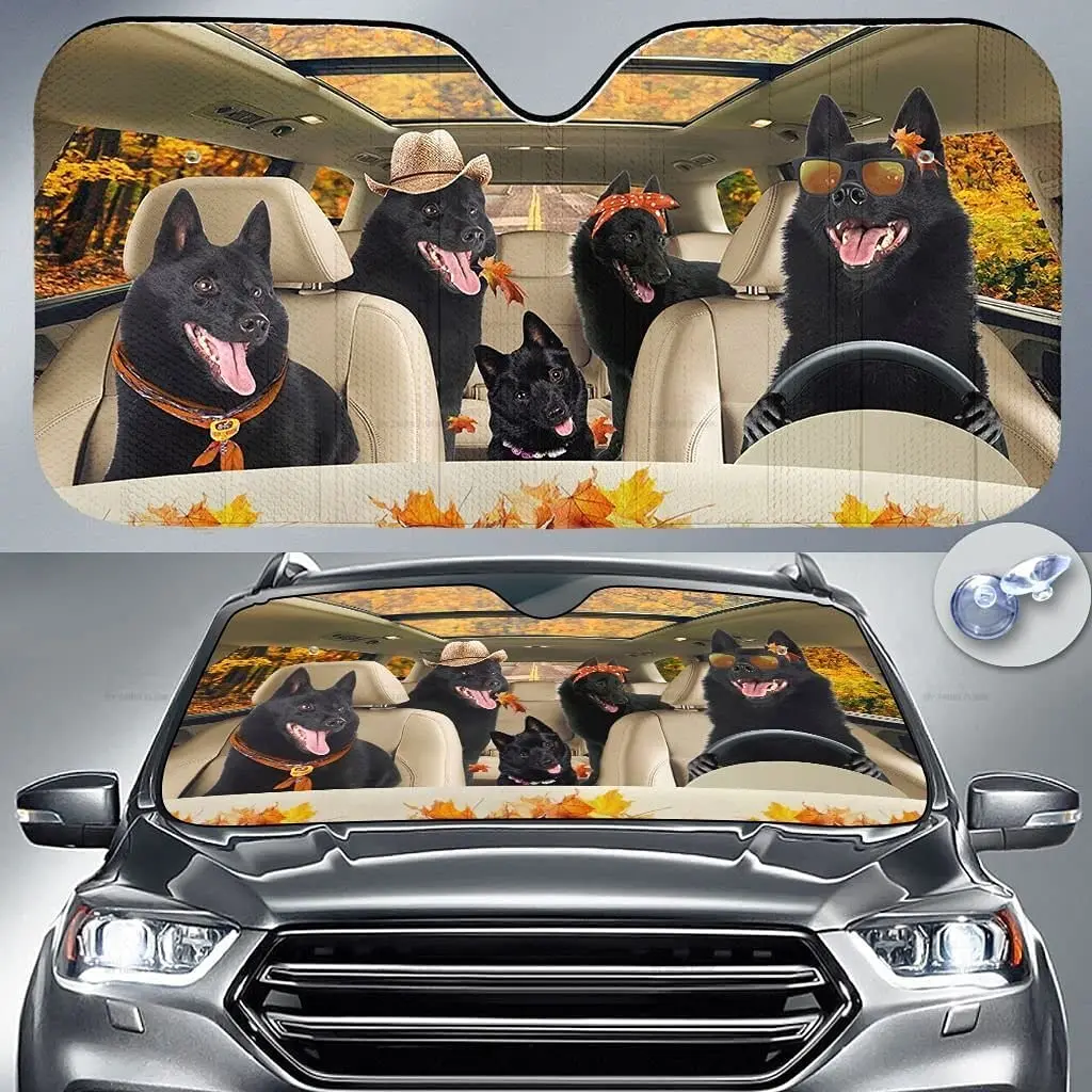 מצחיק Schipperke המשפחה נהיגה סתיו עלים כלב חובב רכב שמשיה שמשת החלון, מתנה כלבים, שמשת הרכב אוטומטי