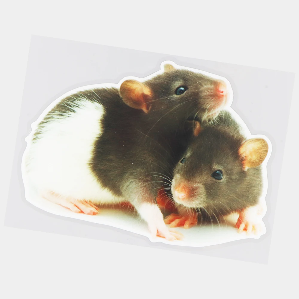 JuYouHui החיצוני עזרים מדבקות חמוד שני עכברים יצירתי הדלת מדבקות הגוף החי קישוט רכב Sticke